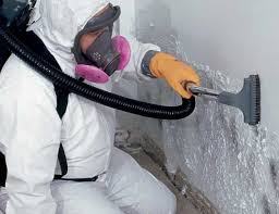 Best Residential Mold Inspection & Testing in USA